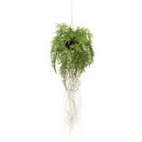 Emerald Konstväxt hängande ormbunke med rötter 35 cm