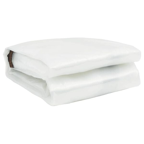 vidaXL Klar presenning med &ouml;ljetter 6x8 m polyeten