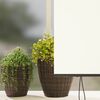 Produktminiatyrbild 4 av 12
