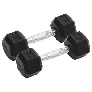 vidaXL Hantlar 2 st 4 kg totalt gjutj&auml;rn