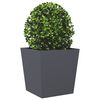 Produktminiatyrbild 3 av 10