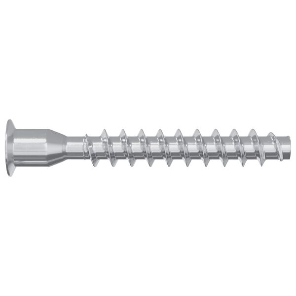 vidaXL Konfirmationsskruvar 2 pcs Silver &Oslash;7 x 50 mm Metall