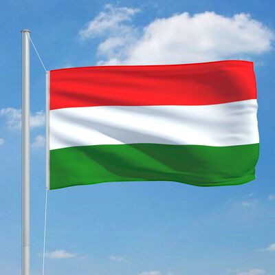 vidaXL Ungerns flagga och flaggstång i aluminium 6,2 m