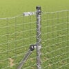 Produktminiatyrbild 3 av 9