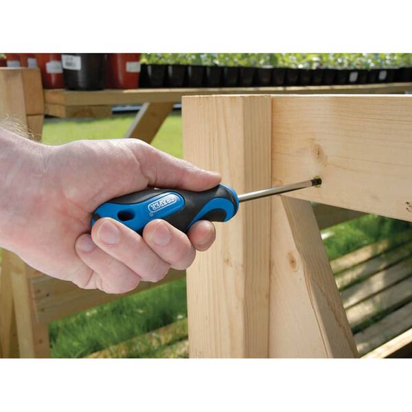 Draper Tools Skruvmejselsats 19 delar bl&aring; 09548