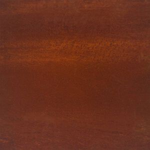 vidaXL Odlingsl&aring;da upph&ouml;jd 100x100x18,5 cm rosttr&ouml;gt st&aring;l