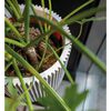Produktminiatyrbild 4 av 14