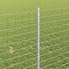 Produktminiatyrbild 4 av 7