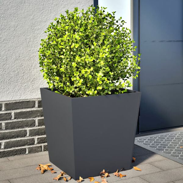 Visar produktbild 2 av 12