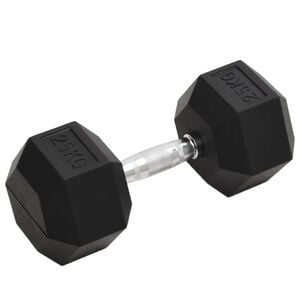 vidaXL Hantel 25 kg gjutj&auml;rn
