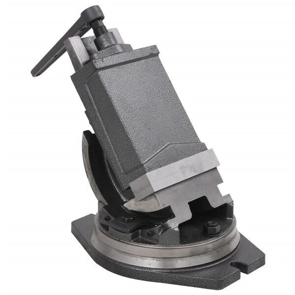 vidaXL Vinklingsbart skruvstycke 2 axlar 160 mm