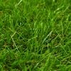Produktminiatyrbild 3 av 3