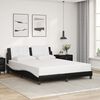 vidaXL Bed Frame with LED without Mattress "Zadar" Black and White 160x200 cm