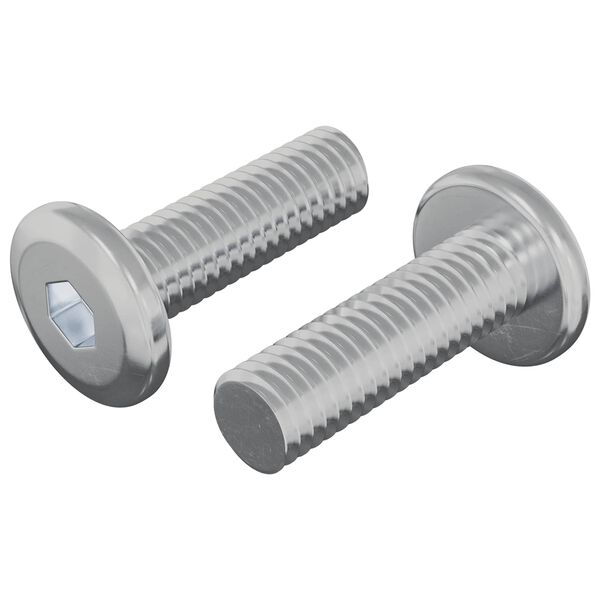 vidaXL Skruv 2 pcs Silver 8 x 25 mm St&aring;l