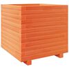 vidaXL Odlingsl&aring;da vaxbrun 50x50x49,5 cm massiv furu