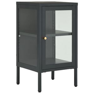vidaXL Sk&auml;nk antracit 38x35x70 cm st&aring;l och glas