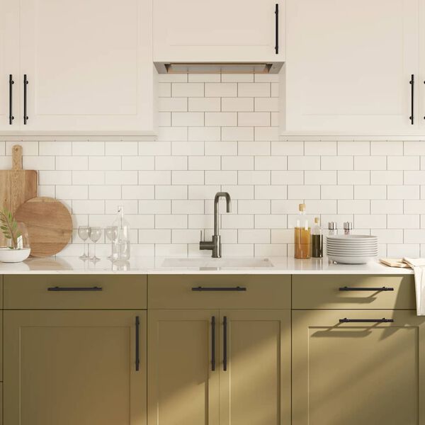 vidaXL Skåphandtag 10 st svart 160 mm rostfritt stål