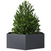 Produktminiatyrbild 3 av 10
