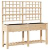 vidaXL Tr&auml;dg&aring;rdsplanterare Beige 161 x 46 x 152,5 cm Massivt Furu