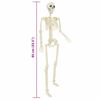 vidaXL Halloween skelett 2 pcs Vit 85 cm PVC