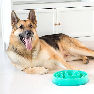 Outward Hound Ät-långsamt matskål för hundar Slo Bowl grönblå 1578