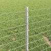 Produktminiatyrbild 4 av 7