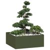 Olive_green