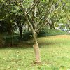 Produktminiatyrbild 2 av 7