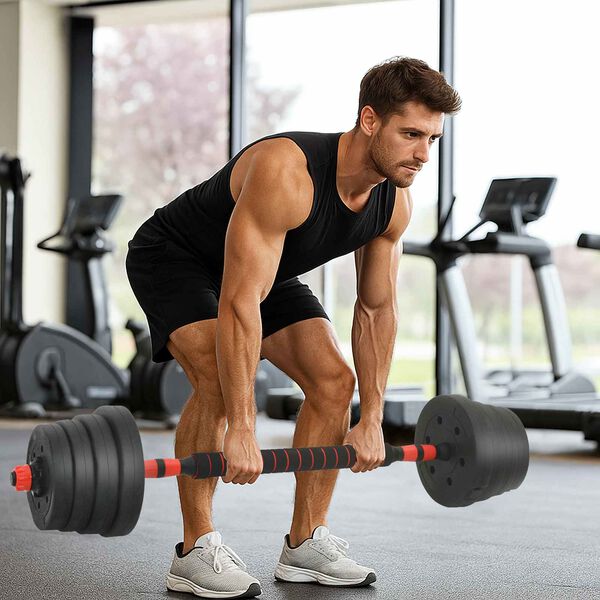 vidaXL 2-i-1 hantelset Svart och Röd 121 x 19,5 x 19,5 cm