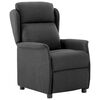 vidaXL Reclinerf&aring;t&ouml;lj M&ouml;rkgr&aring; 66.5 x 94 x 101.5 cm Polyester