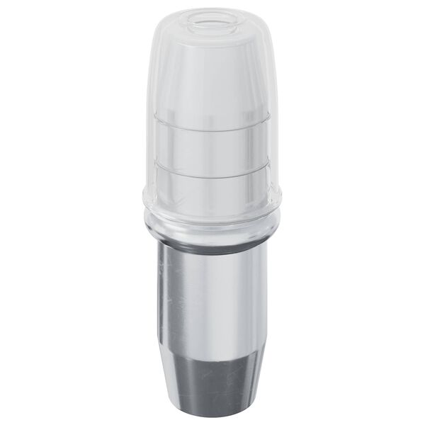 vidaXL Hylla Peg 2 pcs Silver 7 x 16 mm J&auml;rn