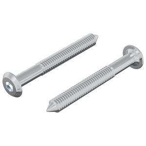 vidaXL Skruv 2 pcs Silver M6 x 50 mm St&aring;l