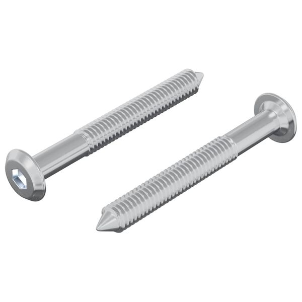 vidaXL Skruv 2 pcs Silver M6 x 50 mm St&aring;l