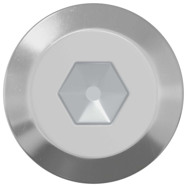 vidaXL Skruv 2 pcs Silver M6 x 60 mm St&aring;l