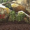 Produktminiatyrbild 2 av 5