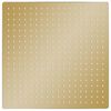 vidaXL Regnduschhuvud rostfritt st&aring;l 50x50 cm fyrkantigt guld