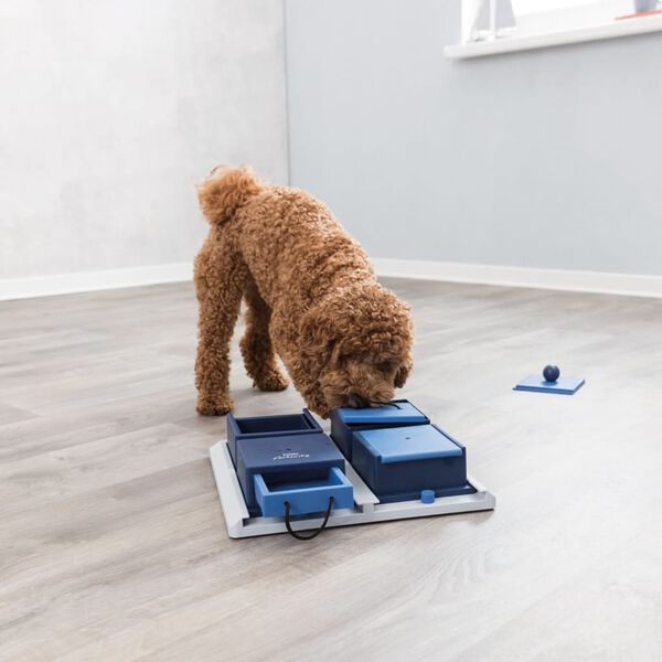 TRIXIE Aktiveringsleksak Poker Box 1