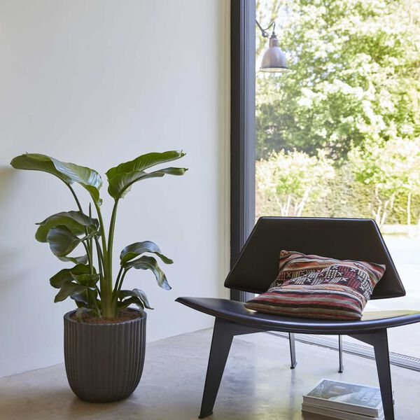 Capi Blomkruka Urban Tube 35x34 cm svart KBLT932