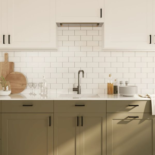 vidaXL Sk&aring;phandtag 20 st svart 96 mm rostfritt st&aring;l