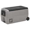 vidaXL Kylbox med hjul & handtag 50 L svart & gr&aring; PP & PE