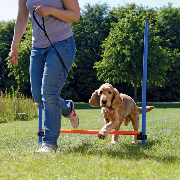 TRIXIE Agility-hinder 123x115 cm plast 3207