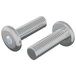 vidaXL Skruv 2 st Silver 8 x 25 mm St&aring;l