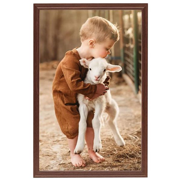 vidaXL Fotoramar 5 st f&ouml;r bord brun 21x29,7cm MDF