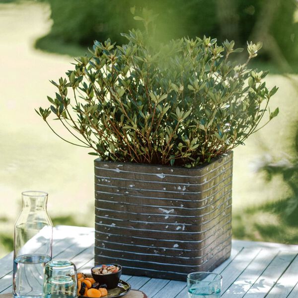 Capi Kruka Nature Row fyrkantig 30x30x30 cm olivgrön