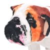 Produktminiatyrbild 3 av 5