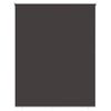 vidaXL Utomhus Rullgardin UV-skydd Antracit 100 x 230 cm (B x H)