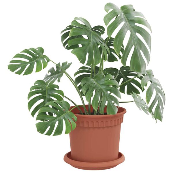 vidaXL Rund Blomkruka 6 pcs Murgr&ouml;n &Oslash; 14 x 2 cm Plast