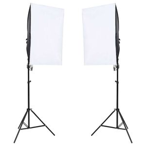 vidaXL Professionell studiobelysning 2 st 40x60 cm