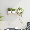 vidaXL Vägghängande ställ Väggmonterad Naturfärg 62 x 10 x 12,5 cm