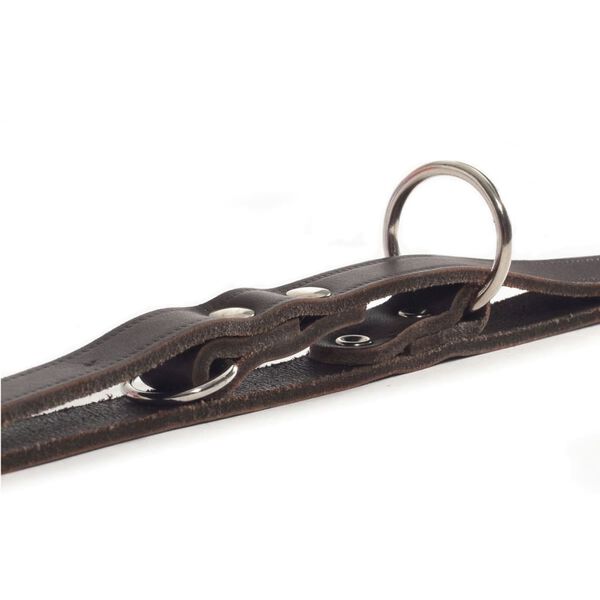 Beeztees Hundkoppel l&auml;der brunt 200x1,2 cm 736401